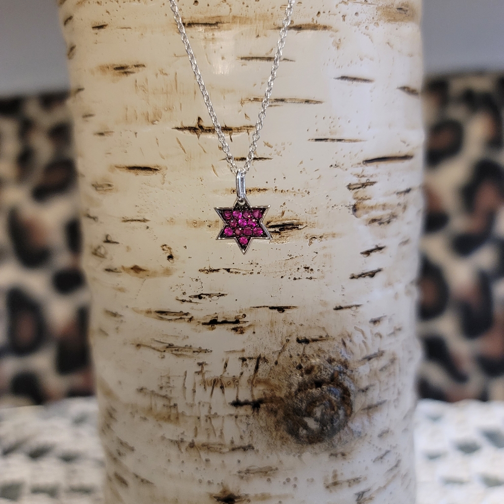 Rarities Pave Ruby Sterling Silver Star Of David Necklace